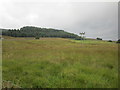 Rough grazing near Falstone in NE48 1DD
