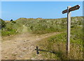 Norfolk Coast Path near Poplar Farm in NR12 0EF