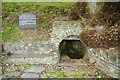 St Myllin's Well in SY22 5BZ