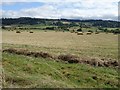 View to Bredon Hill from Nafford in WR10 3DH