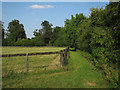 Bridleway by stud farm in SG8 8BX