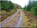 Track in Coire Ardachaidh Forest in PH35 4HR
