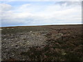 Heather moorland near Black Brow in YO22 5PN