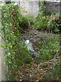 The stream behind the bridge in BS40 5AS