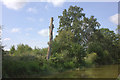 Dead tree trunk by the Kennet and Avon canal in RG17 0UL