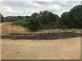 Burnt grassland in Central Forest Park in ST1 6LJ