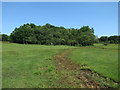 Dry stream bed, Cadnam Common in SO43 7JH