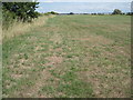 Field beside Calshot Beach in SO45 1BR