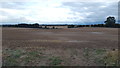 Farmland alongside Naseby Road in Sulby