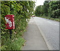 Elizabeth II postbox on Station Road, Penshaw in DH4 7PP
