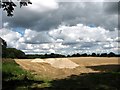 Harvested field north of Beccles Road in NR14 6NU