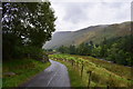 The lane in Grisedale. in CA11 0FJ