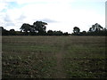 Path across field east of Stanton on the Wolds in NG12 5BL