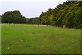 Field opposite the Bo-peep public house in BR6 7QZ