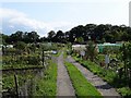 East Leake Allotments in Leake Ward