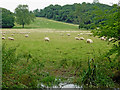 Canalside pasture south-east of Laughton in Leicestershire in LE17 6QJ
