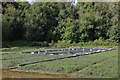 Watercress beds by West Lea Farm, Itchen Stoke in SO24 0QS