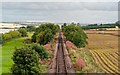 Dingwall to Wick Railway line in IV16 9UL