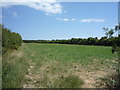 Grassland off Holder House Way in SR6 7SA