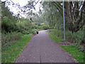 Path in Chelmer Valley Local Nature Reserve, Chelmsford in CM1 7SF