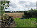 Entrance to field with cereal crop on Templewood Farm near Brechin in DD9 7PT