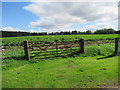 Gate and tattie crop on Templewood Farm near Brechin in DD9 7PT
