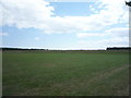 Playing fields, Chuter Ede School in NE36 0BL