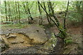 A stream in Alice Holt Forest in GU10 4EP