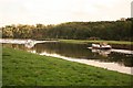 River trent and Shipman's Wood in NG14 7JU