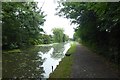 Lancaster Canal approaching Bexhill Road Bridge in PR2 3UZ