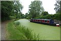 Canal covered in duckweed in PR2 1JQ
