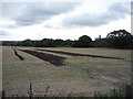 Stubble field north of Hunwick in DL15 0LH