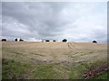 Stubble field, Rumby Hill in DL15 0UN