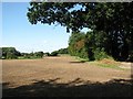 Fields south of Swiffer's Lane in NR10 4QB