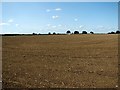 Field west of Haveringland Road in NR10 4QE