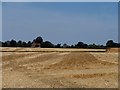 Harvested field and church of St John the Baptist, Little Maplestead in CO9 2RY