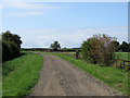 On the Icknield Way Trail south of Balsham in CB21 4DU