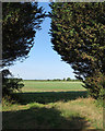 An East Cambridgeshire landscape in CB21 4DU