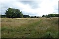 Grassland at Brockholes in PR5 0UE