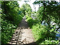 The Thames Path National Trail near Poplar Island in RG30 6YD