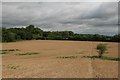 Footpath through stubble field, Talbothays in DT2 8PD