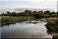River Frome at Woodsford in DT2 8AS