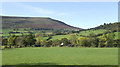 Mynydd Troed from the east in LD3 0EU