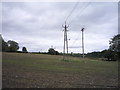 Field and power lines near Park Head Farm in DL14 8BF