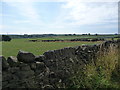 Farmland on the south side of Cumberworth Lane in HD8 8BE