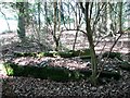 RAF Swannington - WW2 remains in the woods in NR10 4PN