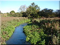 River Nar at Castle Acre 1 in PE32 2AY