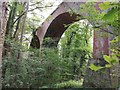 Viaduct over Fogoes Burn in NE39 1NW