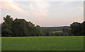 Grassland seen from Public Footpath near St Giles Church, Farnborough in BR6 7JH