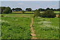 Path across farmland near Pitfield in SO51 6FH